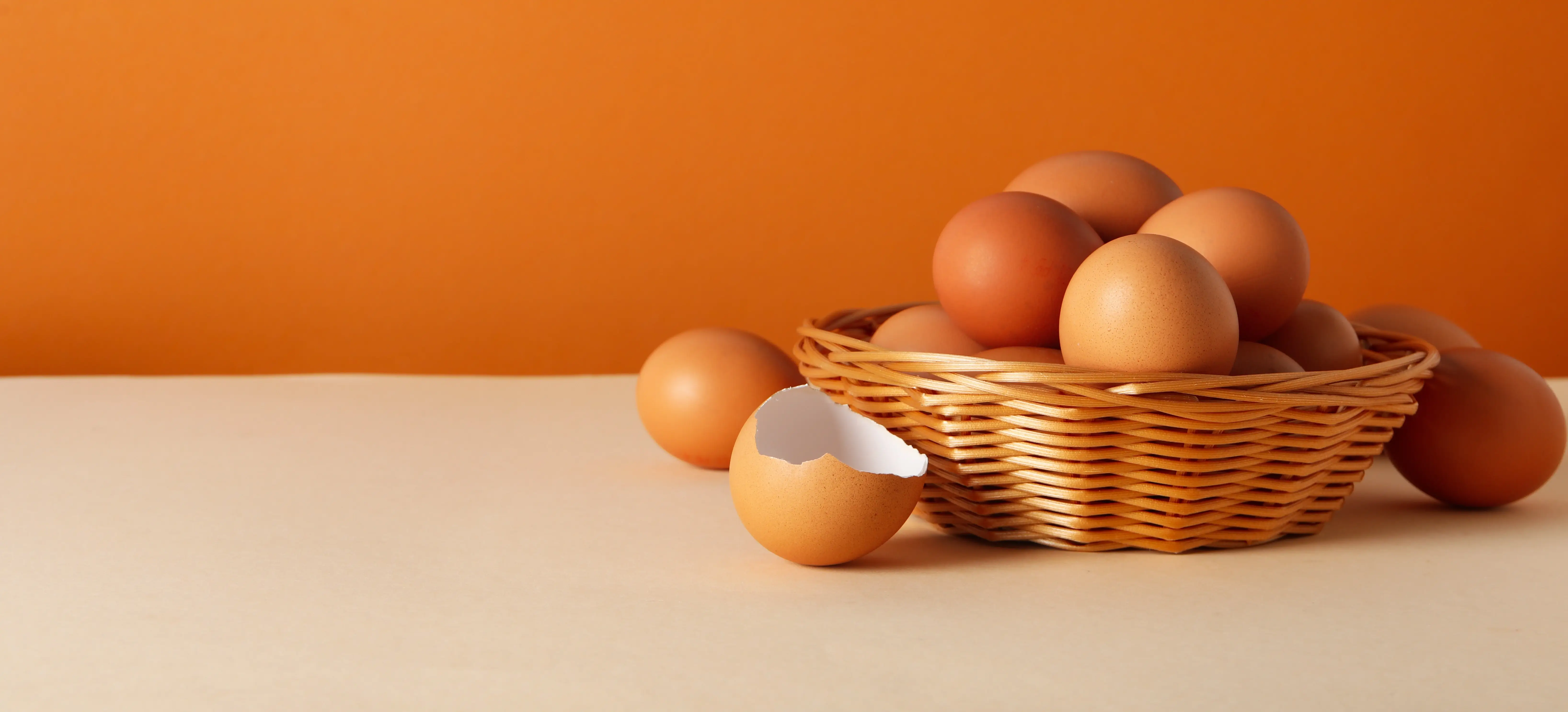 banner-slider